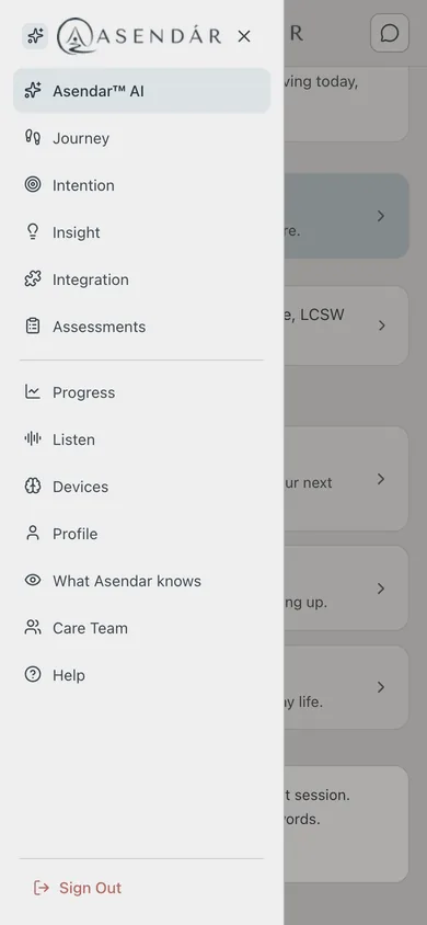 Screenshot: The patient's menu, with Assessments below Integration
